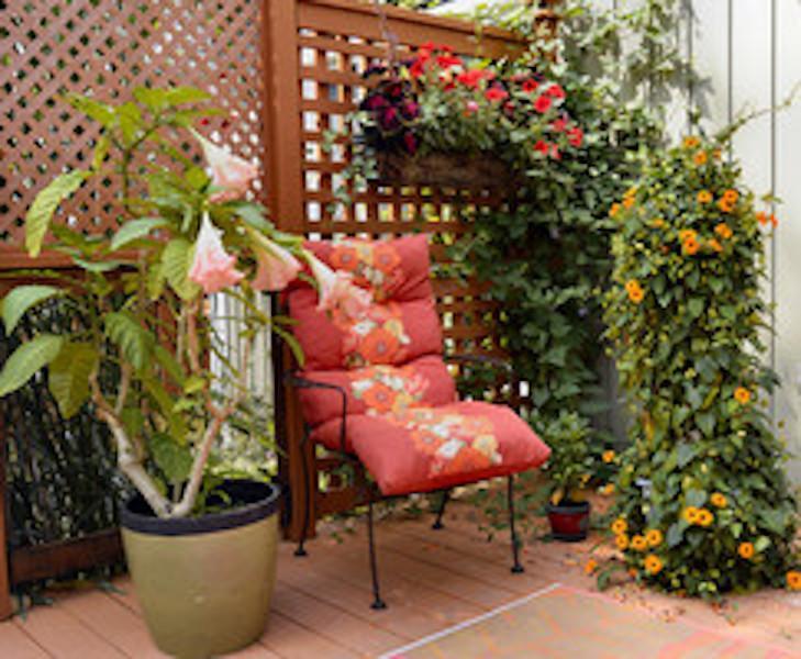Yellow Door Bed And Breakfast Fort Erie Exterior photo